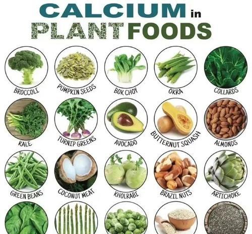 哪些食物有助于脱发恢复和发量增加?