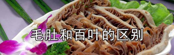 如何正确区分毛肚和百叶?毛肚和百叶的区别是什么?
