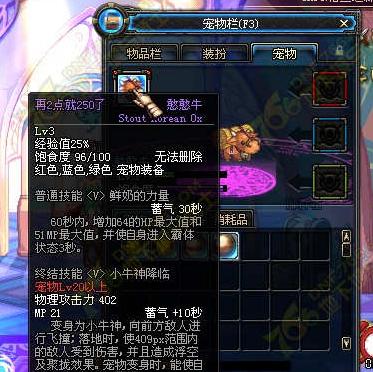 地下城宠物升级失败的原因是什么？