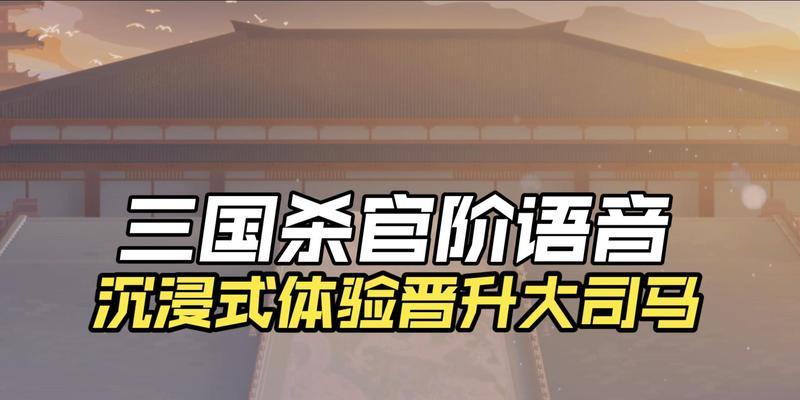 三国杀沉浸式对局的技巧和策略有哪些？