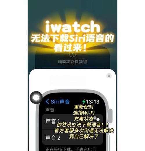 苹果手表屏幕不亮的解决方法是什么？