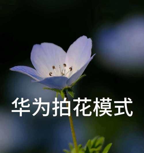 华为手机正反两面拍照设置方法是什么？